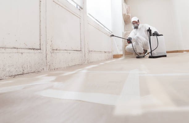 24/7 Emergency Commercial Mold Remediation experts in Clermont, FL
